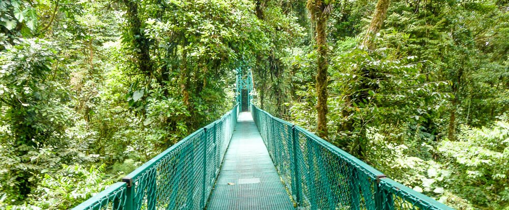 selvetura hanging bridge 
 - Costa Rica