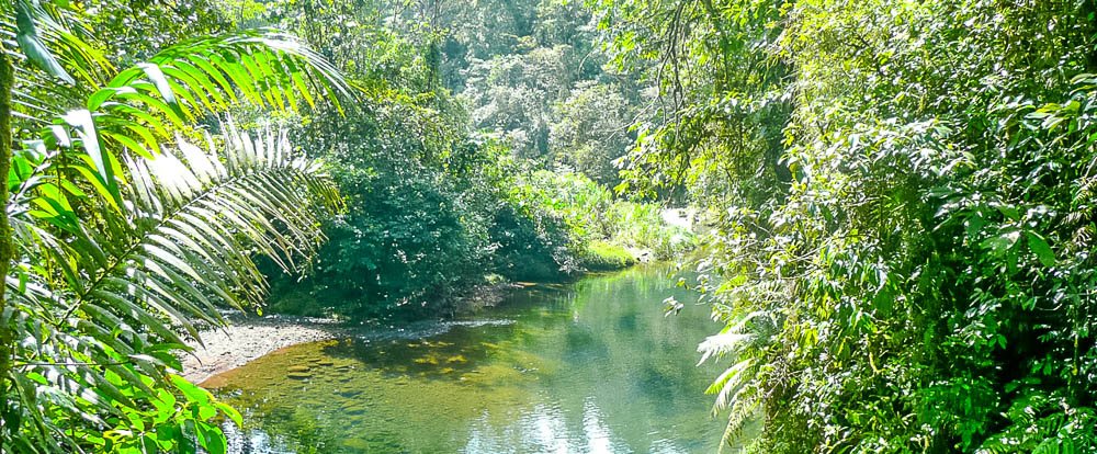        green river braulio
  - Costa Rica