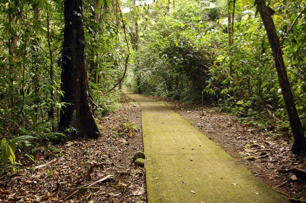        la selva main trail 
  - Costa Rica