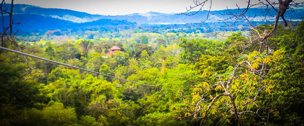 view from last platform osa palmas canopy tour
 - Costa Rica