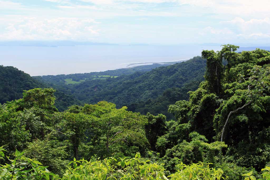 pura vida gardens pacific coast 
 - Costa Rica