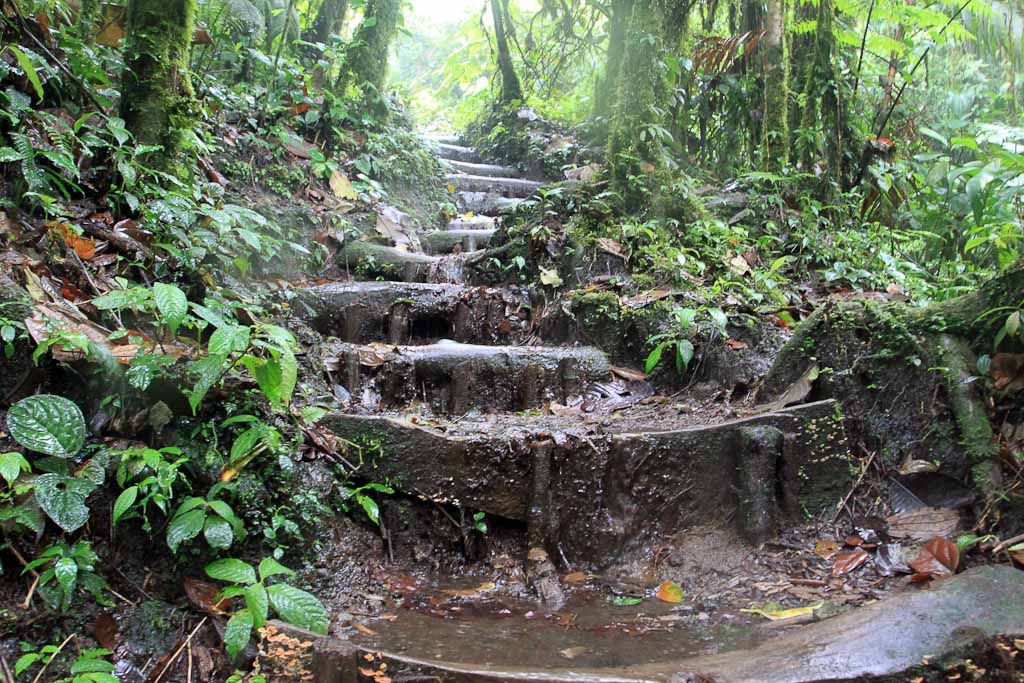 cerro chato hike 
 - Costa Rica