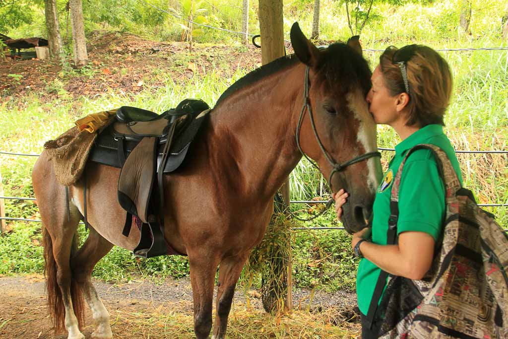 discovery horseback blog kiss 
 - Costa Rica
