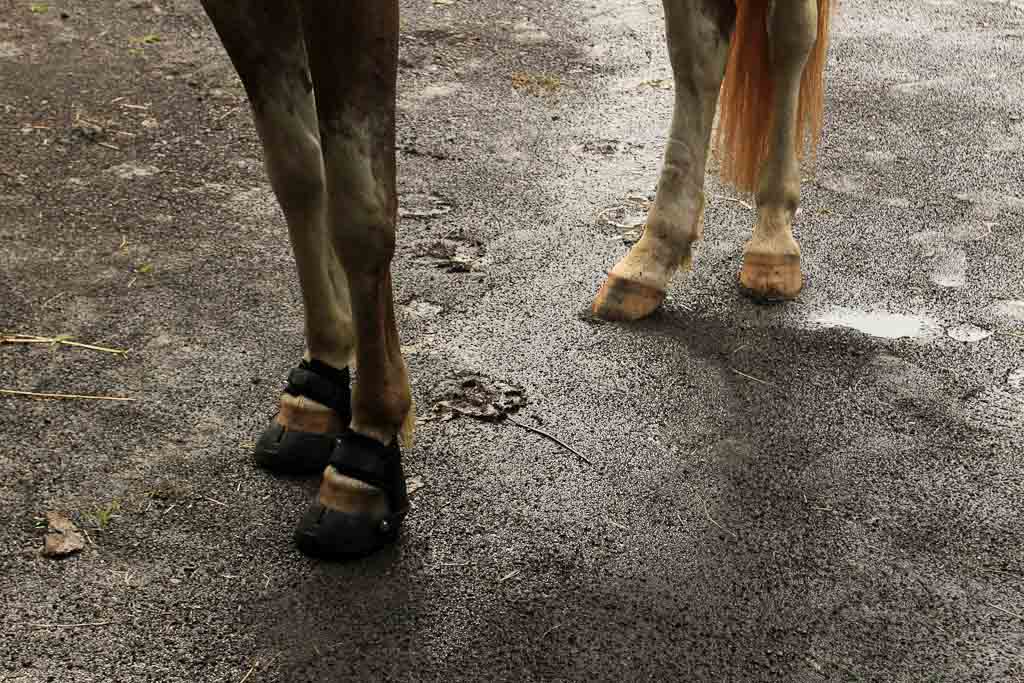discovery horseback blog horse footies 
 - Costa Rica