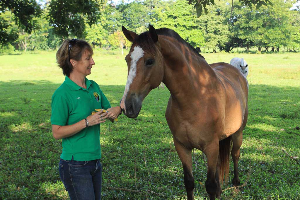 discovery horseback blog pre smile 
 - Costa Rica
