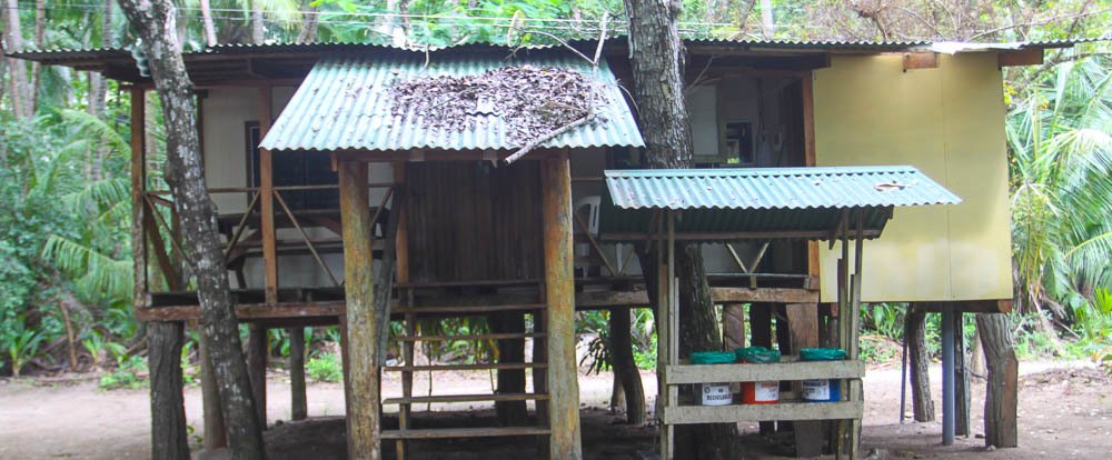 rustic cabin 
 - Costa Rica