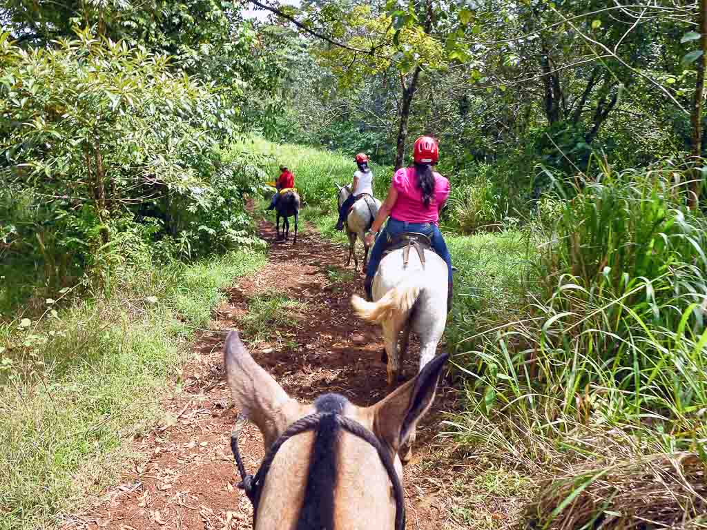        pozo azul horseback riding
  - Costa Rica