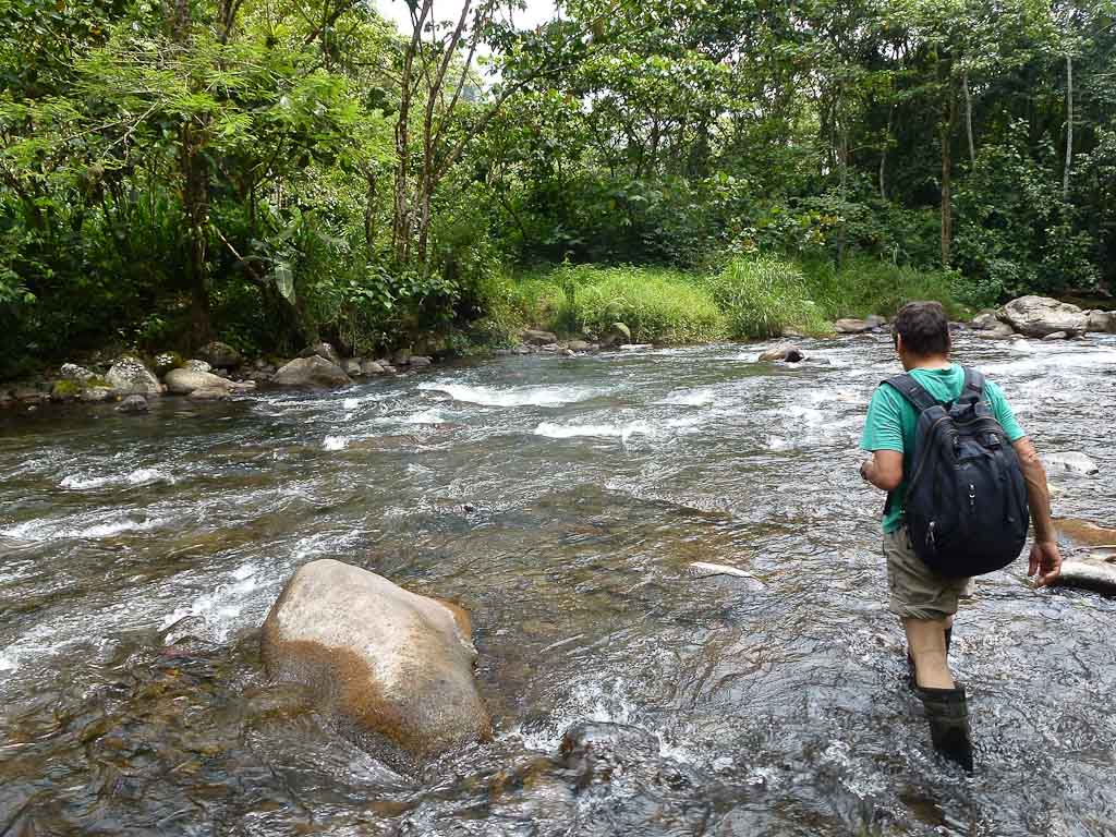        crossing childrens ete rnfrst river crossing 
  - Costa Rica