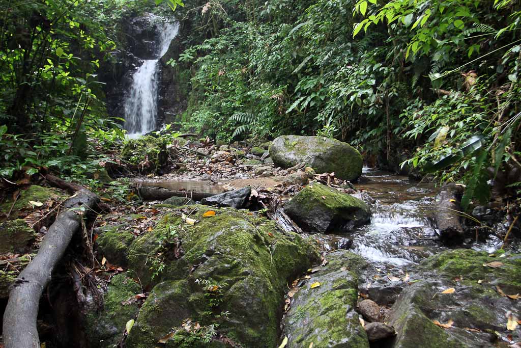        selva leona part  river falls 
  - Costa Rica