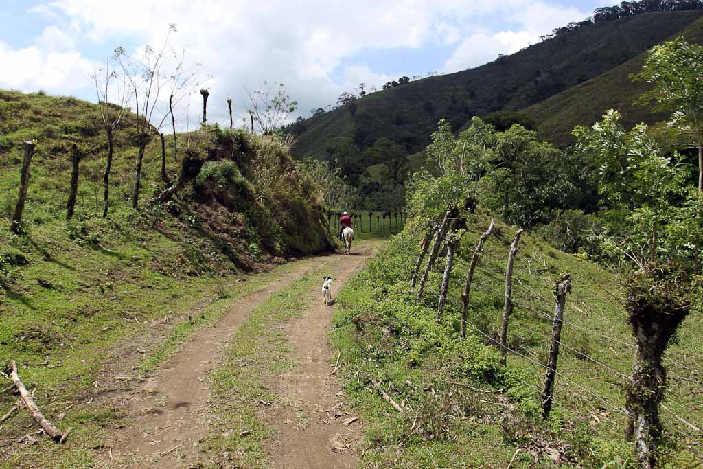        selva leona part  dirtroad 
  - Costa Rica
