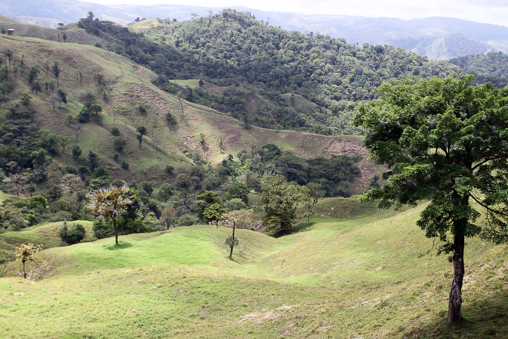        selva leona part  landscape 
  - Costa Rica