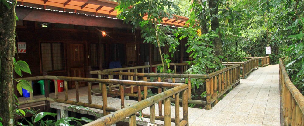 evergreen lodge rooms 
 - Costa Rica