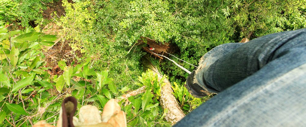 flight of the toucan tree climb combo tour top 
 - Costa Rica