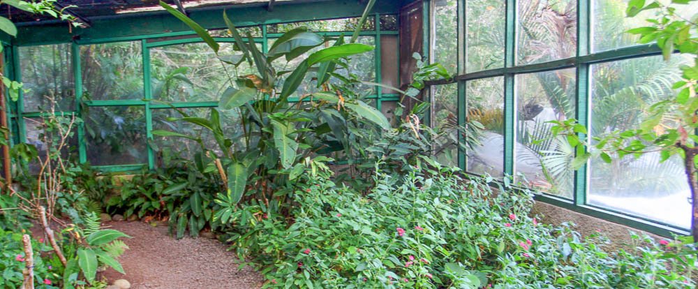        butterfly garden monteverde garden 
  - Costa Rica