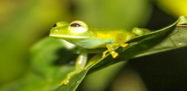 10 Advantages of Green Season Travel - Costa Rica