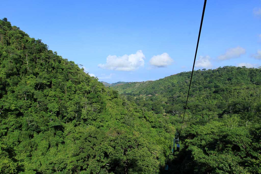 rainforest adventures landscape 
 - Costa Rica