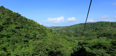 Day 5: The Pacific Rainforest from a Gondola - Costa Rica