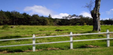 Picket Fence Lots - Costa Rica