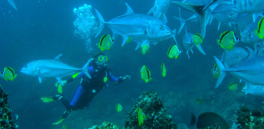 North Pacific dive sites - Costa Rica
