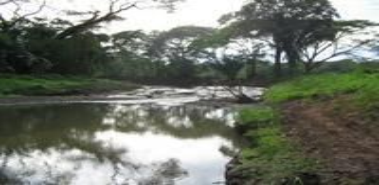 River Farm in Nicoya Gulf - Costa Rica